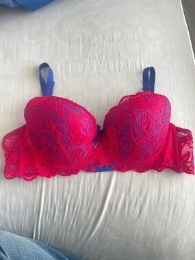 Lace Push Up Bra in Fuchsia and Blue